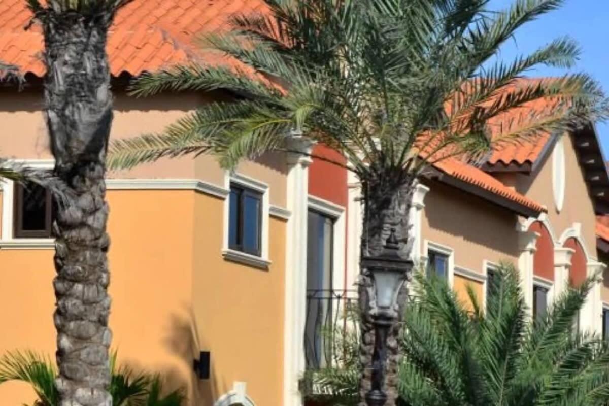 Spectacular House In Gold Coast Villa Palm Beach Buitenkant foto